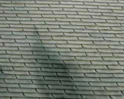 3-tab asphalt roofing shingles with algae/dark stains